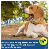 4 Piece Squeaky Tennis Balls