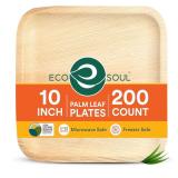 $97 ECO SOUL 10 Inch Disposable Palm Leaf