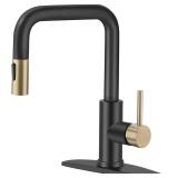 NEW $80 Kitchen Faucet with Pull Down Sprayer