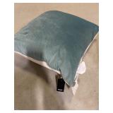 NEW $50 (20ï¿½x20ï¿½) Renwil Sybil Decorative Pillow