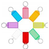 Key Tags with Labels, 17 Pack