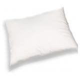 $30 (13'x18') 2pk Soft&Breathable Toddler Pillows