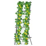 Used $46 USED 74' H x 36' W Tall Cucumber...