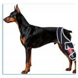 USED (XL) Dog Knee Brace for Back Leg