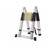 MISSING $200 Aluminum Extension Ladder