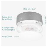 $61 LED Ceiling Lamp