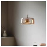 NEW $240 LED Ceiling Hanging Light