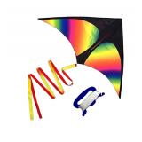 NEW $44 2pack Giant Delta Kite