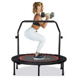 MISSING $95 48' Mini Trampoline
