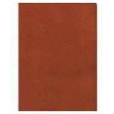 KJV: Large Print Compact Bible