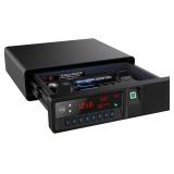NEW $200 Gun Safe