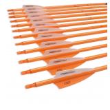 $46 30inch Carbon Arrow Fluorescence Color