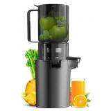 $120 Slow Cold Juicer