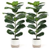 $67 Der Rose 2 Pack 30' Artificial Fiddle