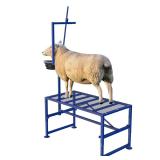 $150 600 LBs Goat Stand with Feed Bin, Goat Milkin