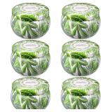 (2-pack)Citronella Candles Outdoor | Indoor Scente