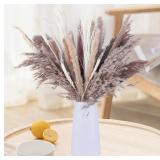 Packs 2 - 105PCS Natural Dried Pampas Grass Decor