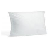 Hometex Throw Pillow Insert (Not Made in China) 20