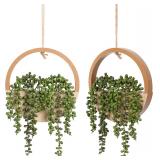 Floweroyal 2pcs Artificial Succulents Hanging Plan
