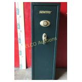 Sentry 10 - Gun SAFE, stand up safe