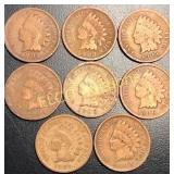 (8) Indian Head pennies, 1901 - 1908