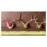 3-  Antler Mounts on Plaques