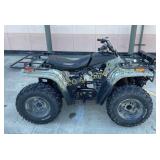 2002 Arctic Cat 300, 2x4, Police Seizure