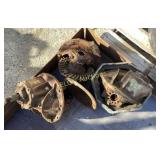 Ford 9" Center Sections