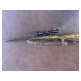 InterArms Mark X, 30-06 w/ NcSTAR