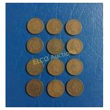 (12) Indian Head Cents, 1895-1906