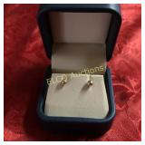 14K Yellow Gold earrings