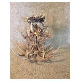 Large Deer antler chandelier