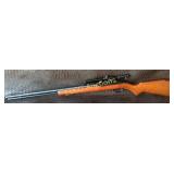 Marlin Model 60, .22, 4x15 scope #16359333
