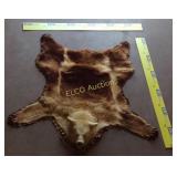 Cinnamon colored Black Bear skin