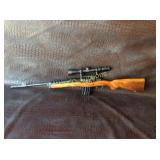 Ruger Mini 14, .223 with 3x9x40 scope