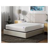 Signature Total Defense Mattress Protector, Queen