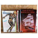 The human skeleton model and Charles W Morgan, wha