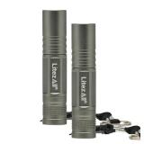 LitezAll Silver LED Keychain Light