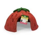 Wild Harvest Picnic Party Strawberry Hut for Small