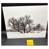 Metal Print 16x20