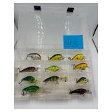 Case of Lures