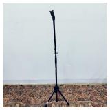 ProLine Telescoping Boom Mic Stand