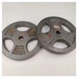 Pair 25 LB Steel Weights