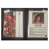 Jolanda Egger Miss June 1983 1GR Silver Card