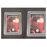 Campo del Cielo Space Meteorite Specimens 2ct