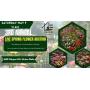 LIVE Spring Flower Auction