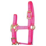 Hamilton Nylon Halter, 3/4', Adjustable