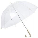Capelli New York Clear Umbrella