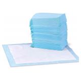 100 Pack Dog and Puppy Pee Pads, Regular (22x22')