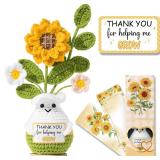 Thanks for Women Teacher Appreciation Gift